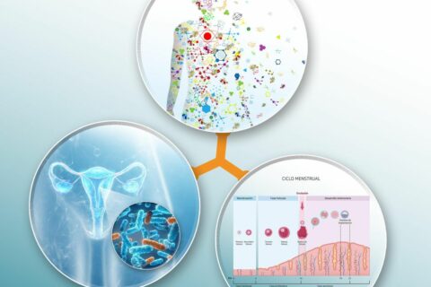 Estudio endometrial completo