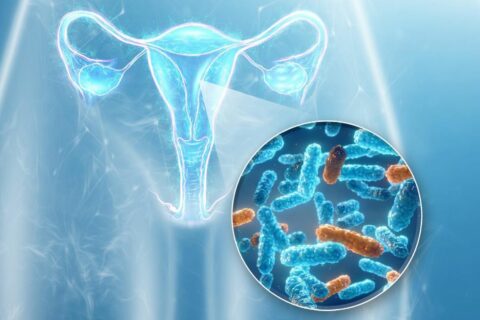 Microbiota endometrial