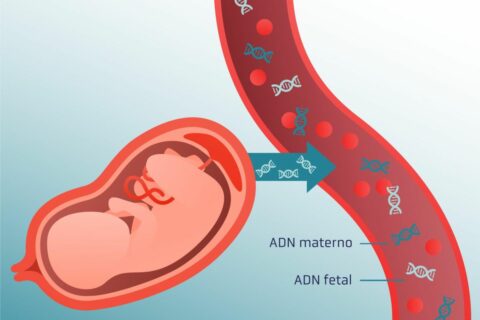 Tests prenatales no invasivos genómicos